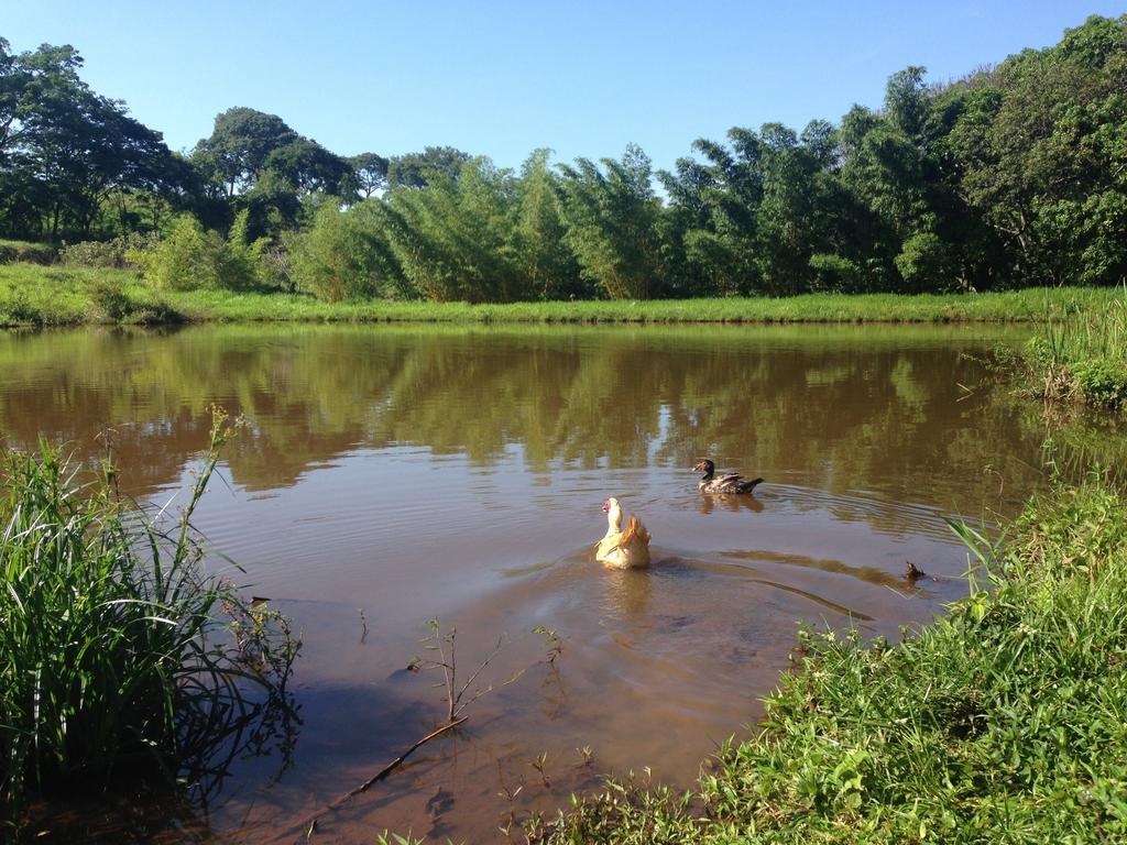 Aguas Vivas Hotel Fazenda Pirenópolis Exteriör bild